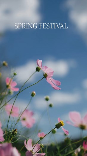 1.5M views · 2.2K reactions | Discover the beauty of Japan through...