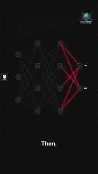 How does a Neural Network actually learn