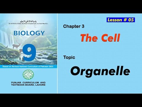 Grade 9 Biology | The Cell Organelles | New Syllabus 2025 | PEN Academy