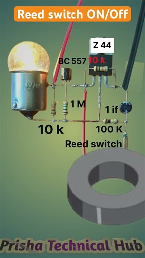 Reed Switch ON/OFF Circuit ,Simple Magnetic Switch Tutorial #shorts #diyprojects