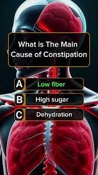 Human Body 3D Model | Full Anatomy Quiz Video | Question & Answer Learning | QuickThink Quiz