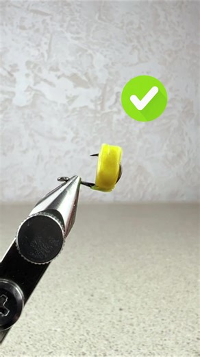 Smart Ideas for Successful Carp Fishing Techniques