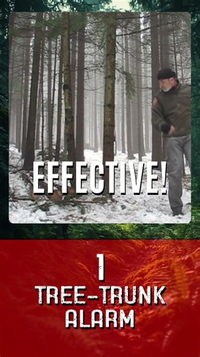 🚨 3 DIY Camp Alarms to Save Your Life! No Electronics! #survivalhacks #campingtips #DIYAlarms