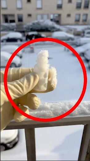 This Is What Snow REALLY Looks Like Under a Microscope #microscope #snow #shorts