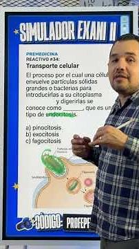 Fagocitosis explicado fácil en Premedicina del Exani II (Tipos de transporte membranal)