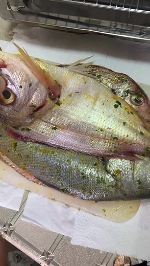 Traditional Moroccan Cuisine Cooking Tutorial