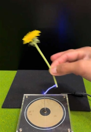 Tesla Coil Experiment: How a Tesla Coil Works and Safety Tips