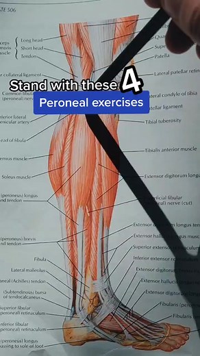 Reply to @norma_mel These are more dynamic stretch and strength. I'm linking a self stretch vid as well @chicagosportschiros @maryradtech9