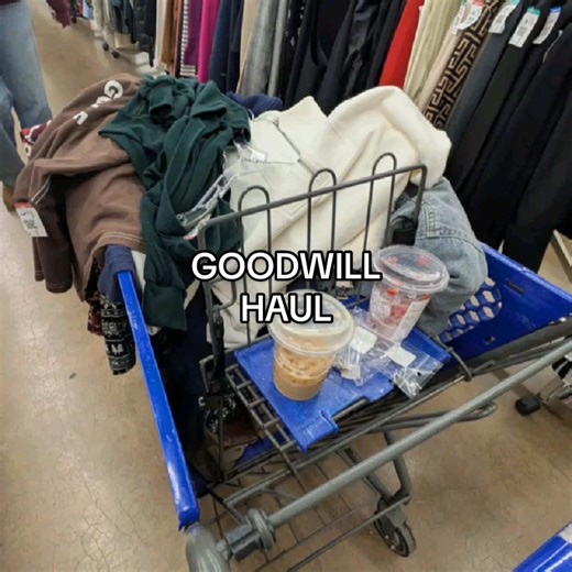 Discover Amazing Finds at Goodwill Thrifting Haul