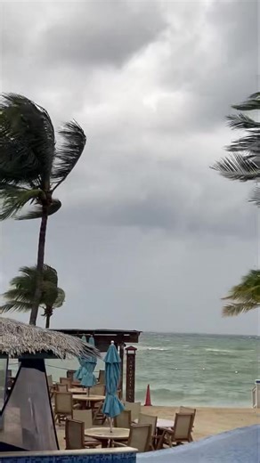 12K views · 163 reactions | Bad weather in Roatan? ️ Don’t worry! Even on a rainy day, there’s still plenty to enjoy on our beautiful island. You can visit local cafés, explore the chocolate factory, go shopping for souvenirs, take a scenic drive, or relax with a massage while listening to the sound of the rain. Roatan is paradise. rain or shine?☀️ | Nacho's Tours Roatan | Facebook