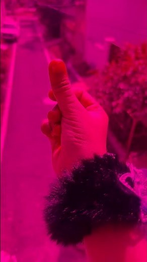 # comedy # video 😂😂