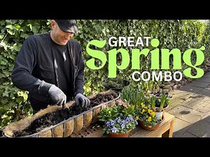 Planting Spring Window Boxes Step-by-Step | Bulbs & Spring Flowers for Big Impact