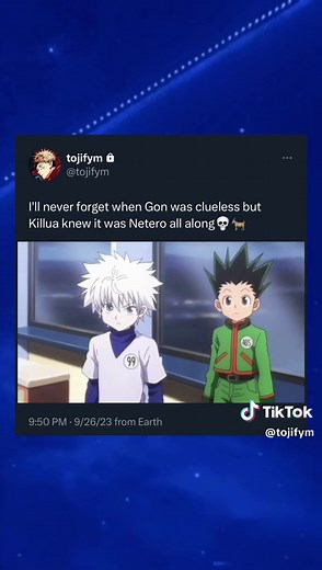 Killua's Encounter with Netero during the Hunter Exam