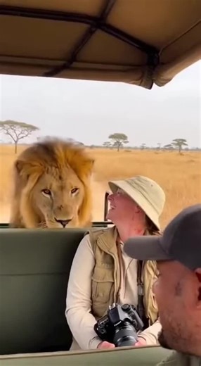 #funnyanimals #SafariPranks #viralvideo #viral #FunnyAnimals