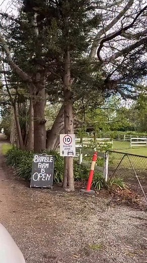 4.2K views · 161 reactions | It’s berry-picking season!  (November –...