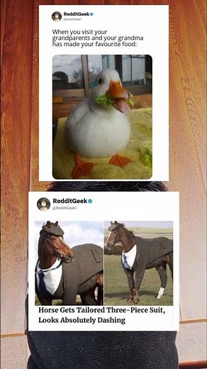 Horse gets tailored three-piece suit