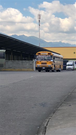 VIP Bus Tuning in Honduras: Ultimate Customization Guide