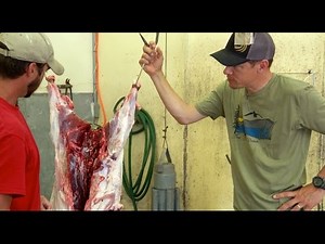 Skinning & Weighing a Wild Pig w/Steven Rinella