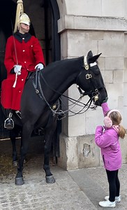 426K views · 7.2K reactions | Heartwarming Connection: Cute Girl's...