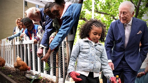 Watch King Charles III Feeds Chickens With Kids at Harlem Grown in Most Heartwarming Royal Moment of the Year
