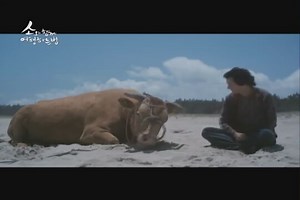 Rolling Home With A Bull