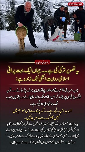 I Spent 30 Days Researching TURKEY'S Bizarre Grain Tradition and Here's What I Found