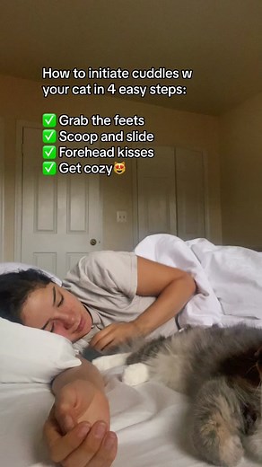 Ways to Get Your Cat to Cuddle with You