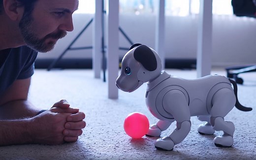 aibo超可爱！和宠物型智能陪伴机器狗aibo一同度过人生中的一天