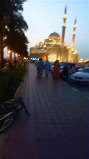 ‏#creatorsearchinsights