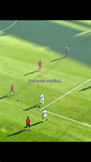 goal spain vs argentina goal spain reaction goal ferran Torres #goal #finalcopadelmundo #spainargentinamatch #soocer #reactionvideo