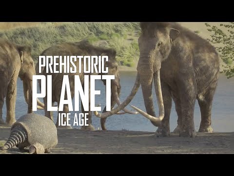 Columbian Mammoth confronts a Glyptotherium | Prehistoric Planet: Ice Age | Official Clip