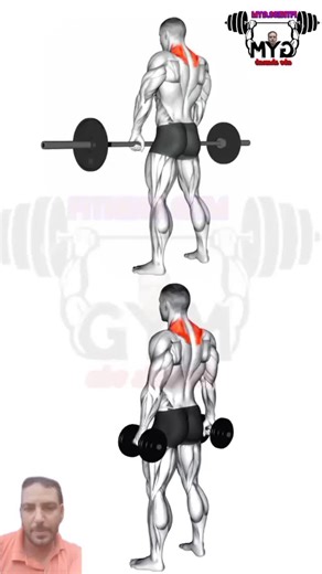 traps muscles #gym #workout #fitness #exercises | Mix