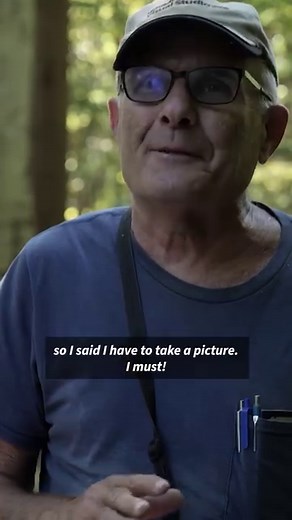 🐻 In Romania, home to Europe’s largest brown bear population outside Russia, attacks are on the rise as the bears venture out of the forests looking for food, often brought by tourists or left in unsecured garbage cans. The problem is pitting herders and farmers against conservationists, with authorities dramatically upping the number of bears that can be culled this year by 50 percent to 220. And some MPs want that number doubled. Conservationists argue it is possible to better manage human-be