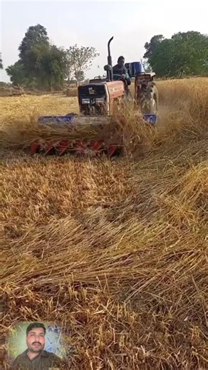 Tractor with new reaper machine for wheat cutting in punjab min kank ka session sharo ho gaya #kank