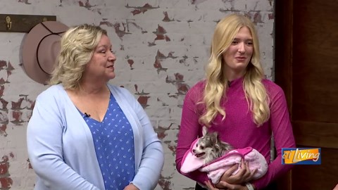 Don’t Miss Legally Blonde Live in Decatur