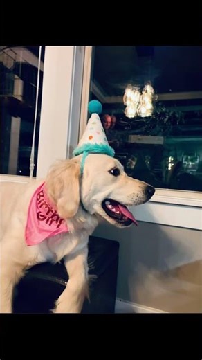 SDG Family Check-In: Finley