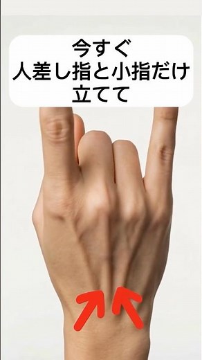 【チェック】今すぐ人差し指と小指を立てて中指と薬指を親指で押さえてみてください