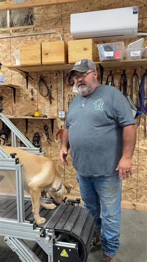 15 reactions | Follow along on Tansy’s journey from complete chaos to a well mannered working dog. Subscribe today! https://www.facebook.com/wilsonsdogtraining/subscribe/ | Wilson's Dog Training | Facebook