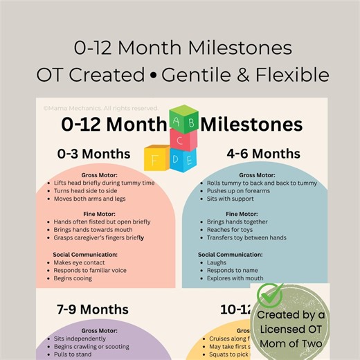 Baby Milestones Chart 0-12 Months – Ot-informed Development Guide (printable Download) - Etsy