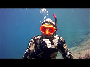 The Snorkel Files Part 2