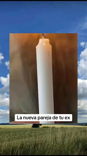 Find Your Safe Space with Paratittadele