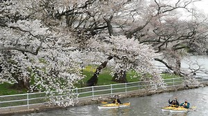 DC Area Easter Forecast: Will Spring-like Weather Return?