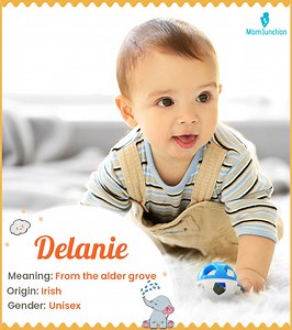 Delanie Name Meaning And Origin: Comprehensive Guide For 2025