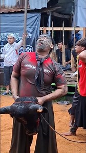 DEMIT LEDOK GUNUNG WUKIR #bantengan #jaranan