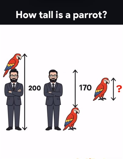 Badridinov Nusratbek | Answear ??? #rek #math #insta #rekchiqaraylik❤️❤️❤️❤️❤️❤️❤️ #rekchiq #instagram #mathias777_numbers #rekomindatsiya #rekchiqiplos😅😅 #solve... | Instagram