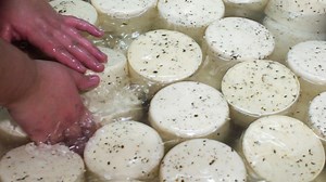 1.1M views · 10K reactions | Queijaria Furnense uses mineral water from volcanic springs, known as "sour water," and the milk from free-grazing cows in the Azores islands to make a unique cheese. | Business Insider Today | Facebook