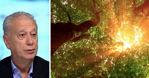 Watch: Robert Arrigo Recounts Near-Death Experience And Being 'Turned Away From Bridge Of Light’