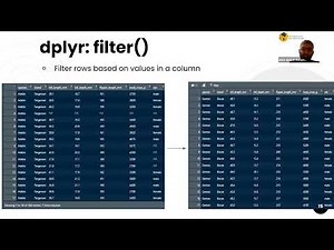 Data Analysis in R: Exploring the Tidyverse (dplyr and ggplot2)