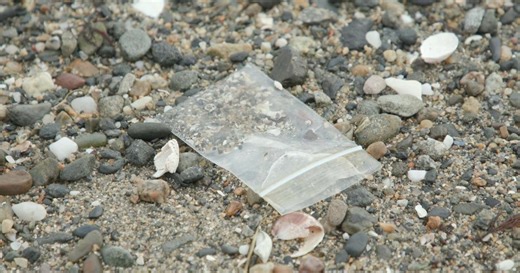 Green Seeker: Plastic Pollution