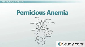 Anemia: Types and Causes - Video | Study.com